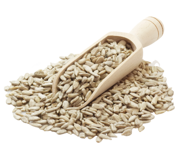 A.N. - Ay çekirdeği - 22,68 kg