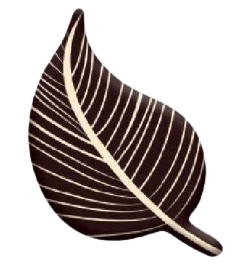 [Y101661] Korinitta - Dekor Çikolata Yaprak YS0014