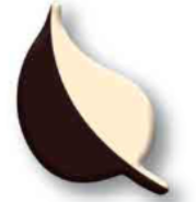 [Y101924] Korinitta - Dekor Çikolata Yaprak YS005