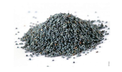 Graine de Pavot Back Europ (Hashas)1 kg