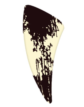 Korinitta - Dekor Çikolata Fildisi FLD004