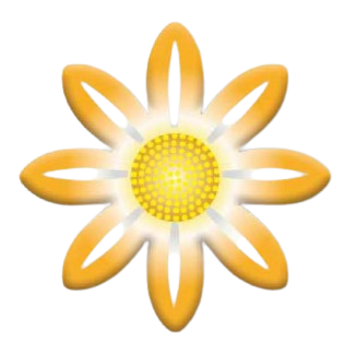 [Y101657] Korinitta - Dekor Çikolata Papatya PPT001